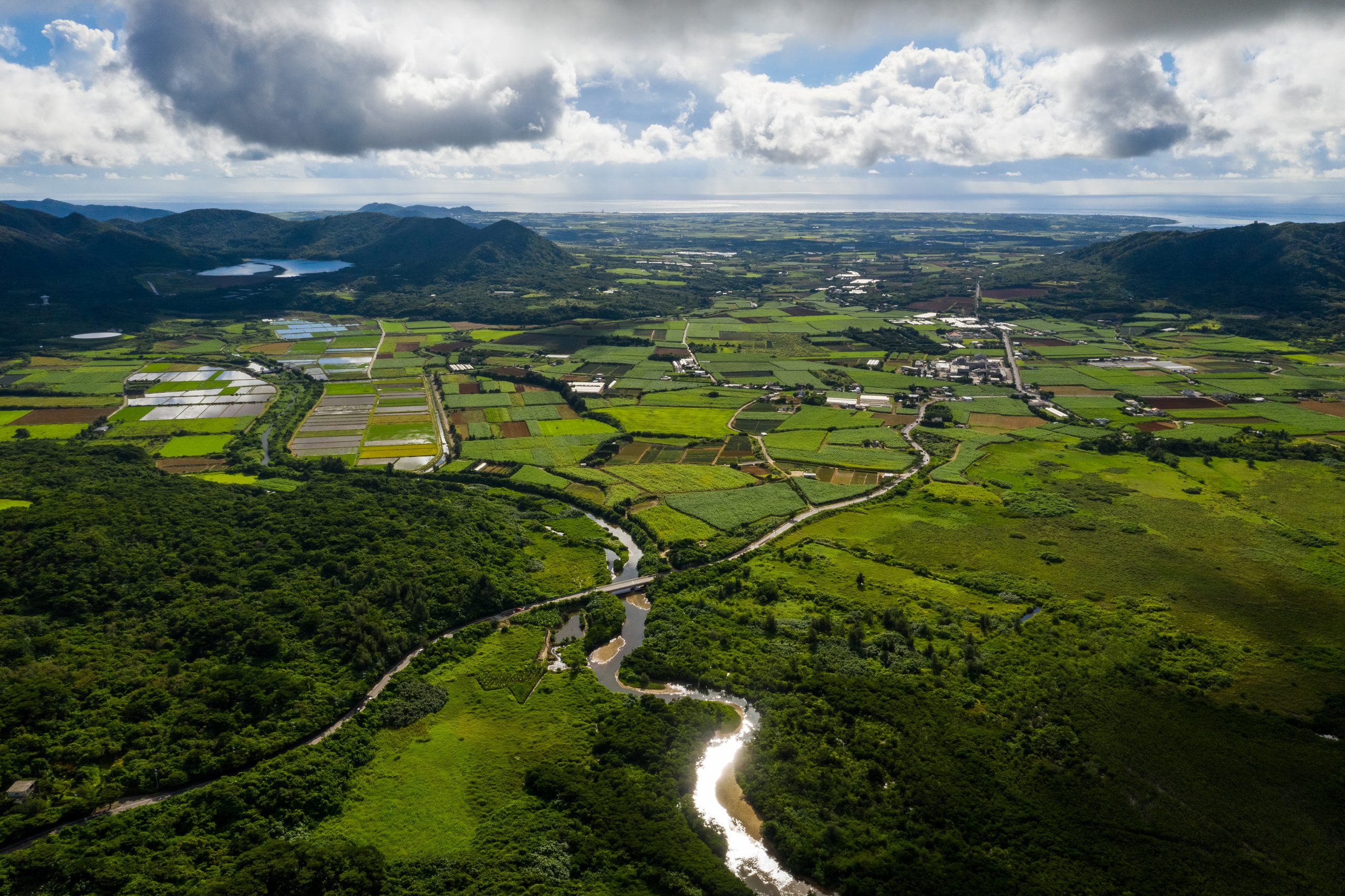 The Power of Regional Ecosystems: Key Factors Shaping Local Business Growth: